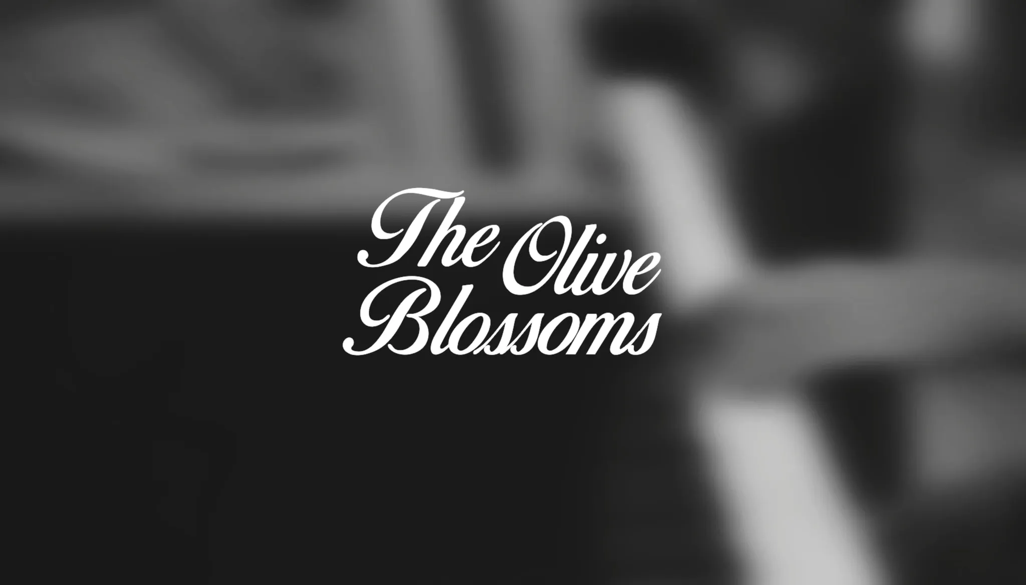 The Olive Blossom's — Shayan Shekarabi & Negar Faraji