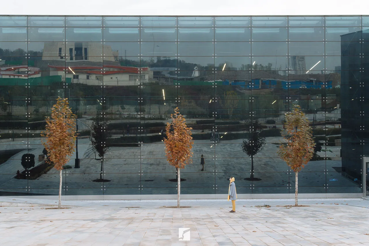 Spotted Yellow — image 4 of 24