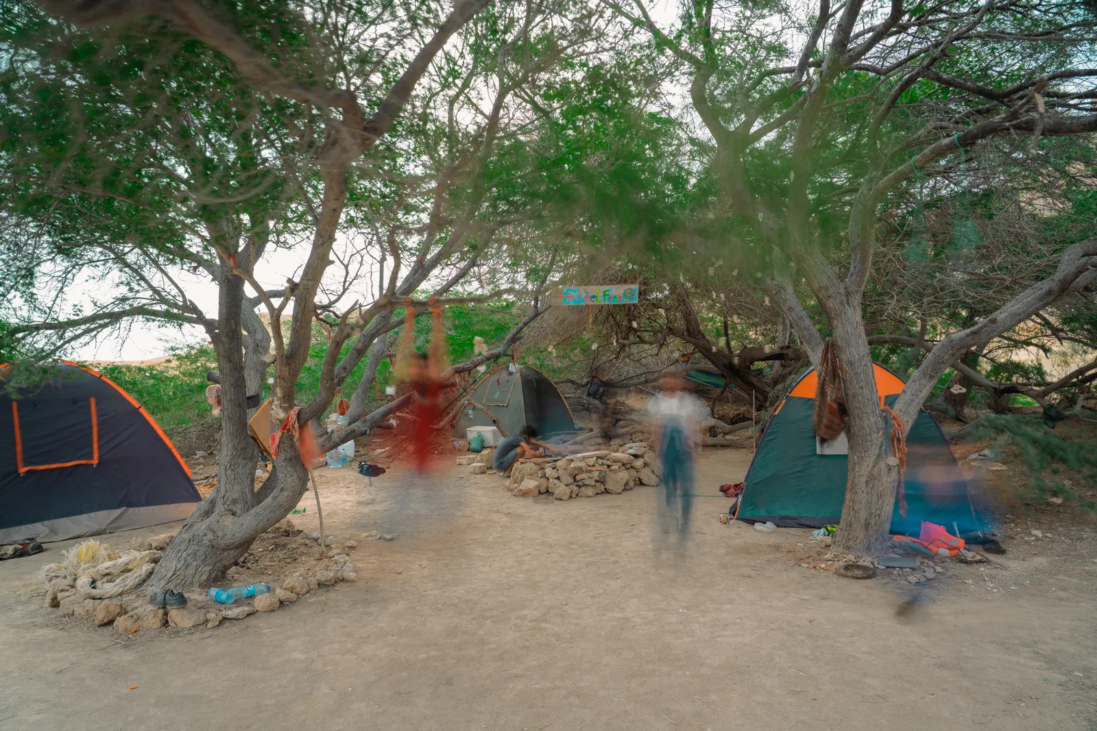 Borrowed Sanctuaries — image 6 of 9