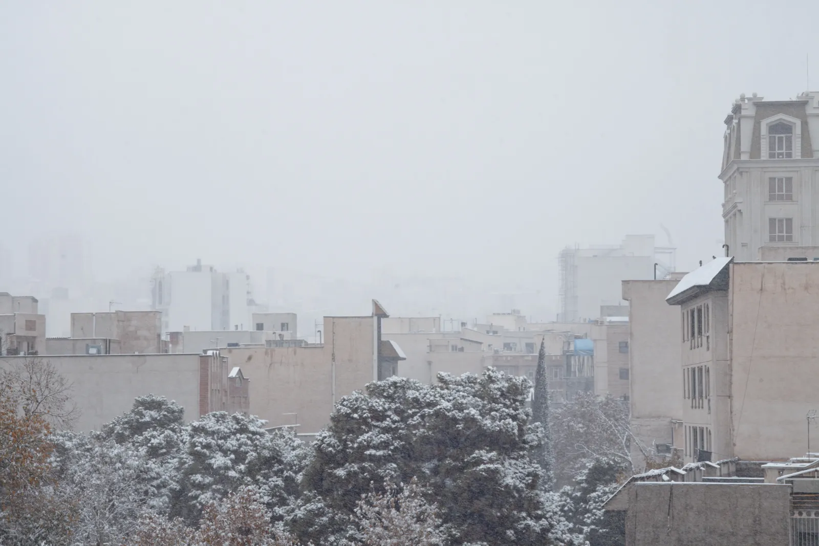 My Window, Tehran — image 7 of 10