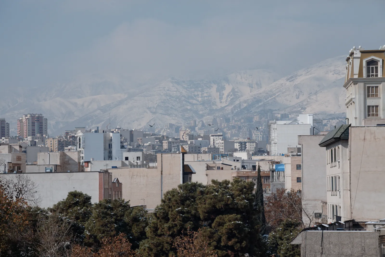 My Window, Tehran — image 9 of 10