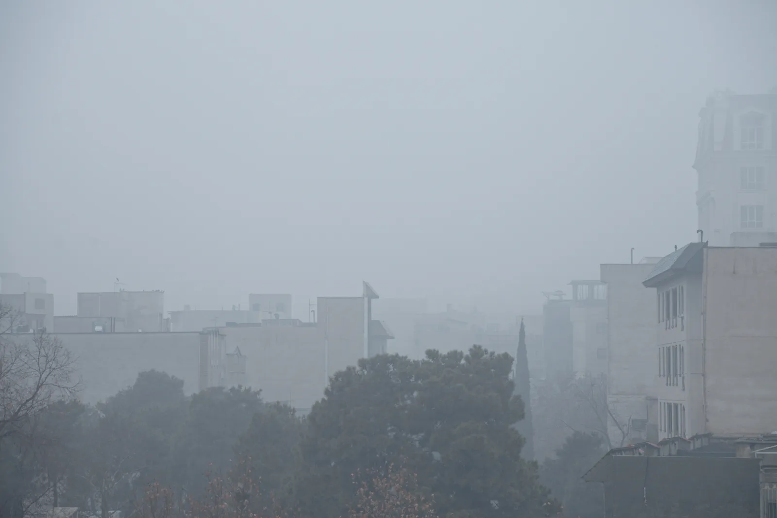My Window, Tehran — image 10 of 10