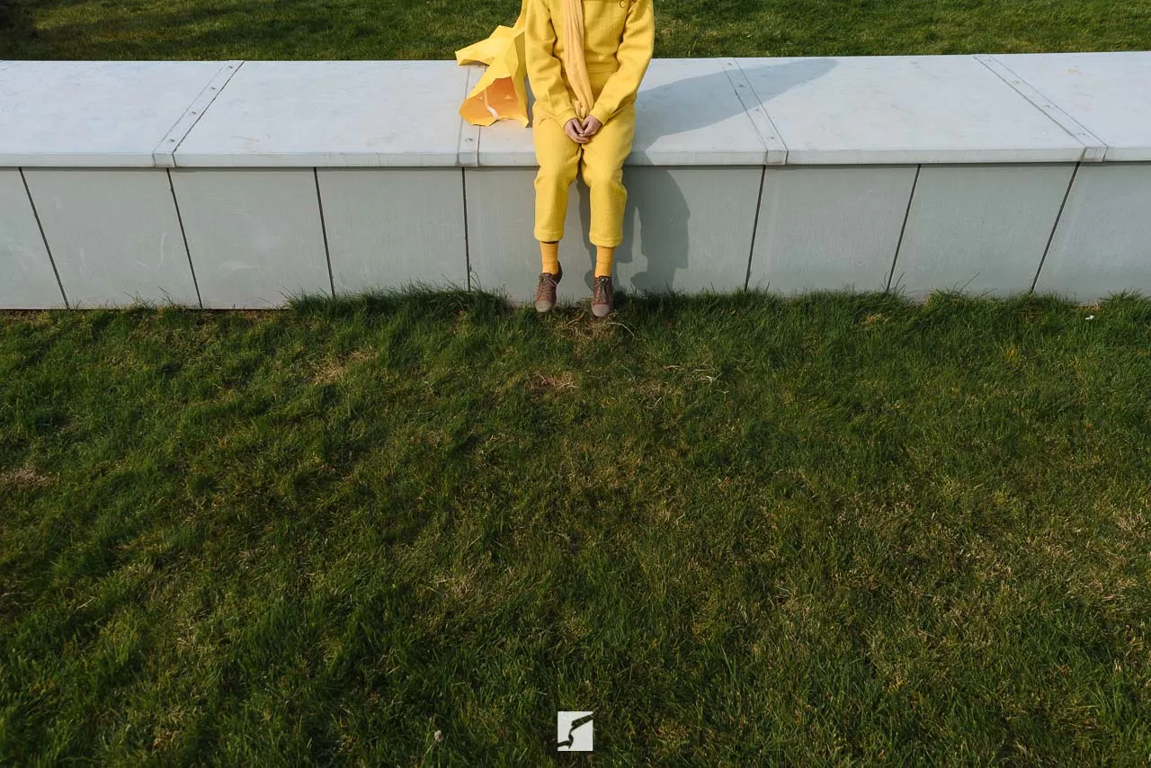 Spotted Yellow — image 10 of 24
