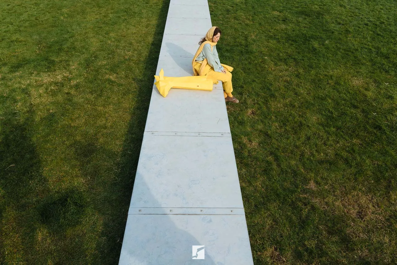 Spotted Yellow — image 11 of 24
