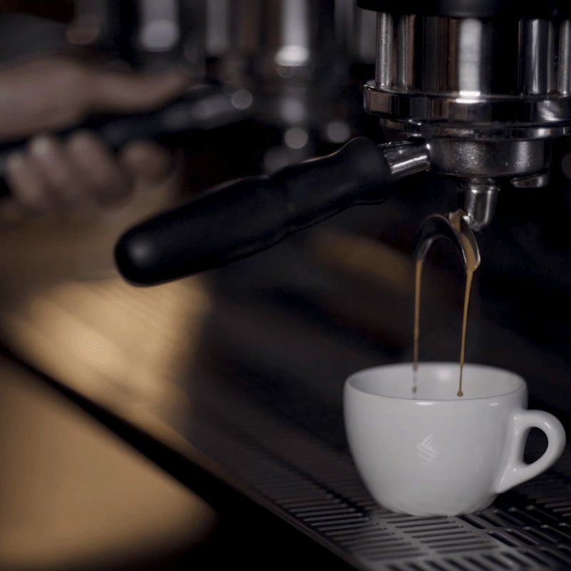 Sam Cafe — cinemagraph